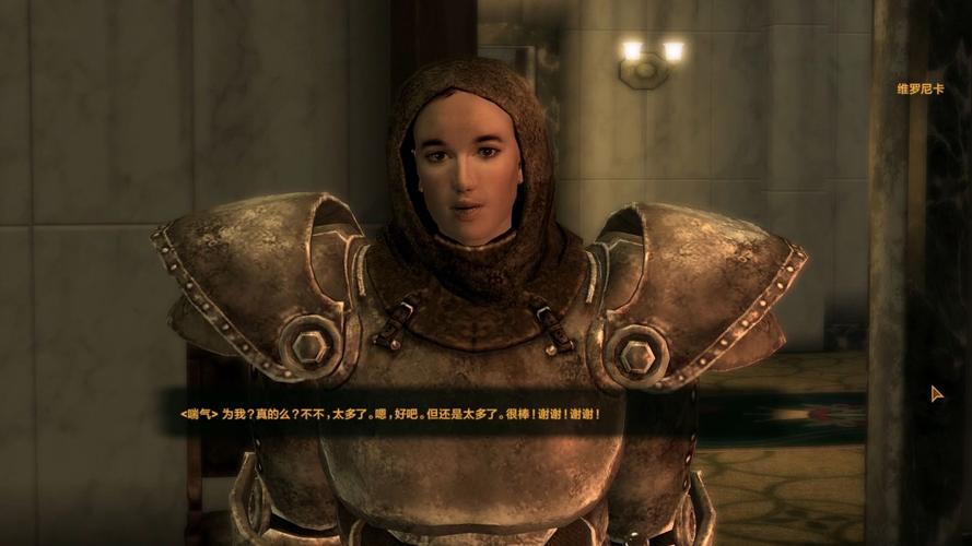 维加斯游戏:辐射新维加斯深度体验与攻略