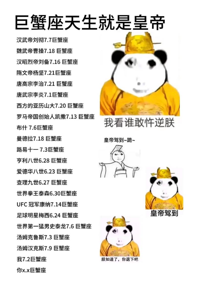 皇帝游戏攻略:新手入门技巧及进阶玩法详解