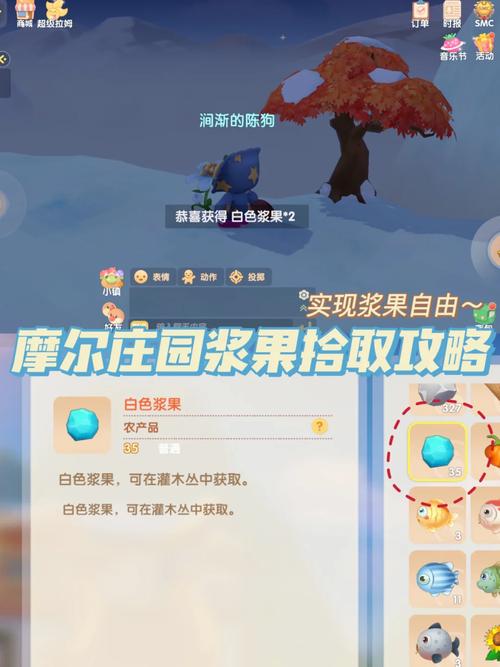 白色浆果在哪?摩尔庄园手游白色浆果采集攻略