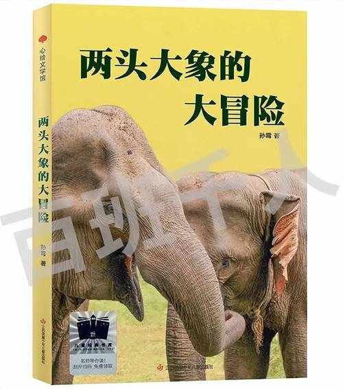 奇怪的大冒险:拯救公主的奇葩之路,一百种失败方法等你体验!