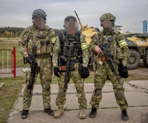 SOB军旅DLC+本体：完整版资源下载及游戏体验分享