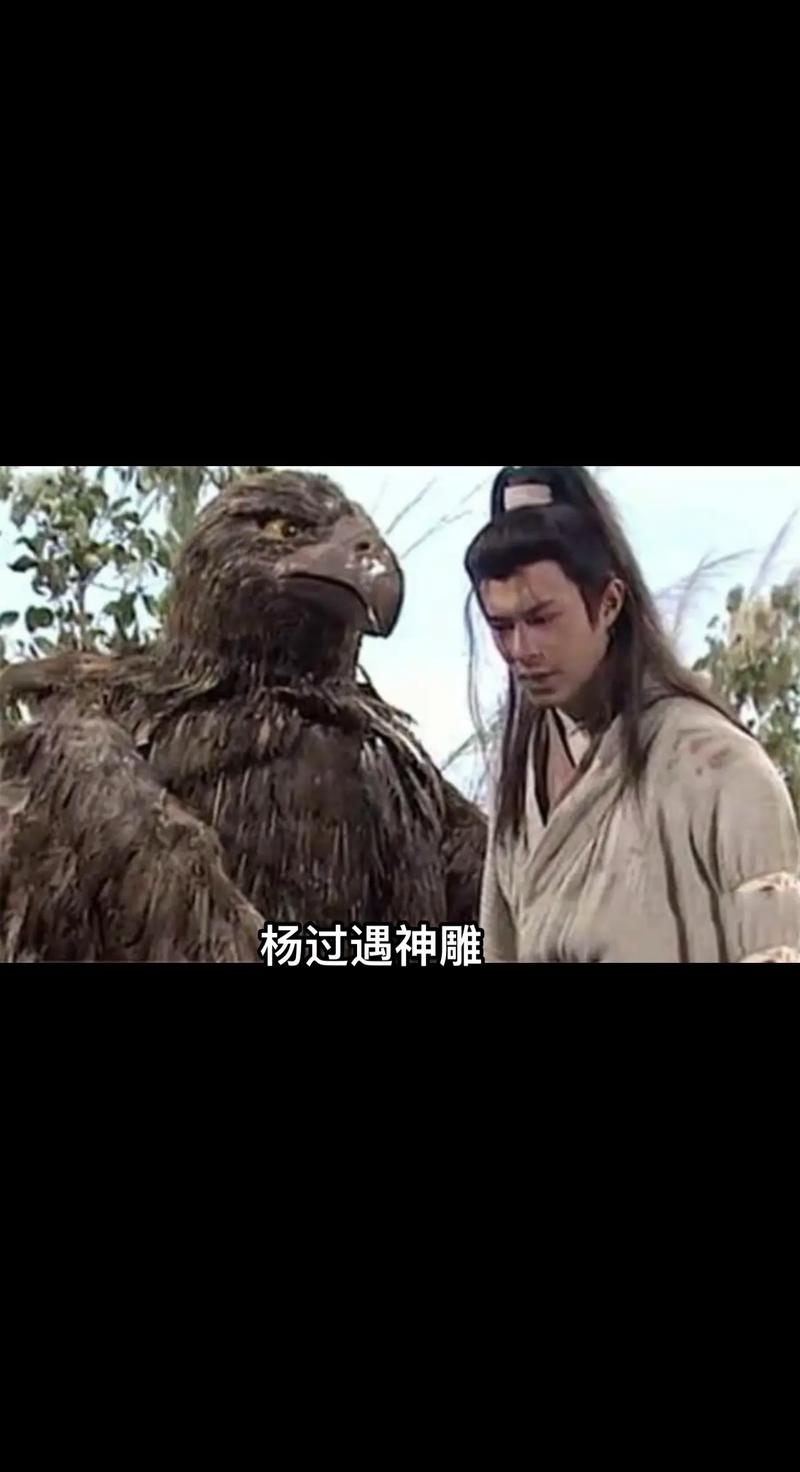 杨过游戏：体验不一样的怡红院主人生活！