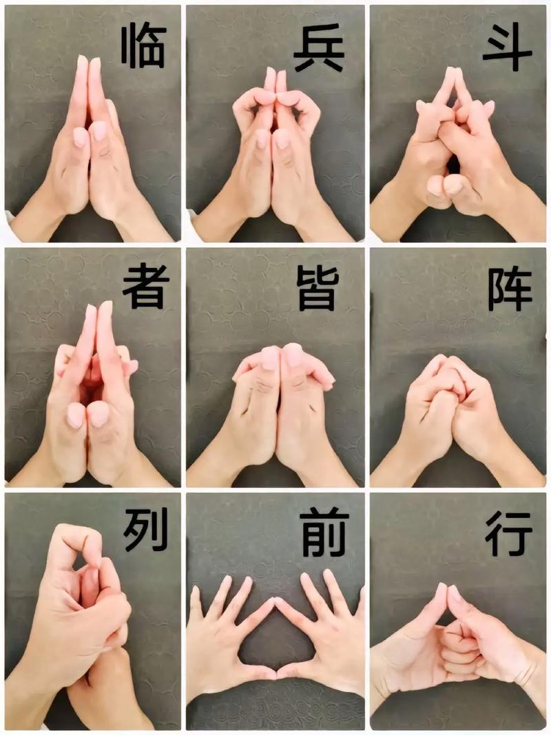 手把手教你下载九言作品：百度网盘下载链接及解压密码