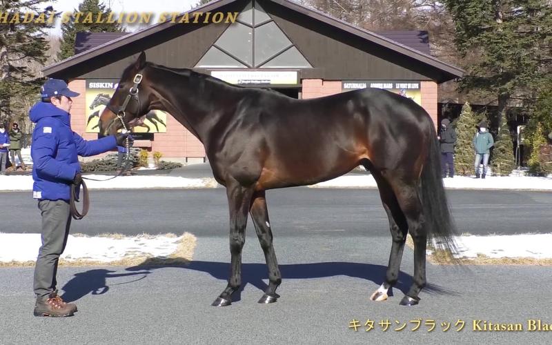 种马V0.11：你弟弟会爱上的游戏？游戏评测来了！