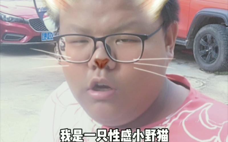 小野猫N下载地址大全：安全可靠的下载途径