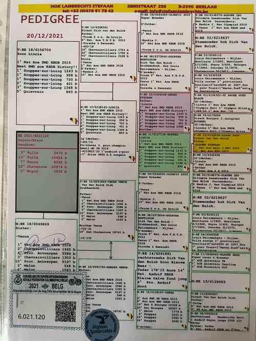 最全史密斯的血统：内含他链版本大全，资源免费下载