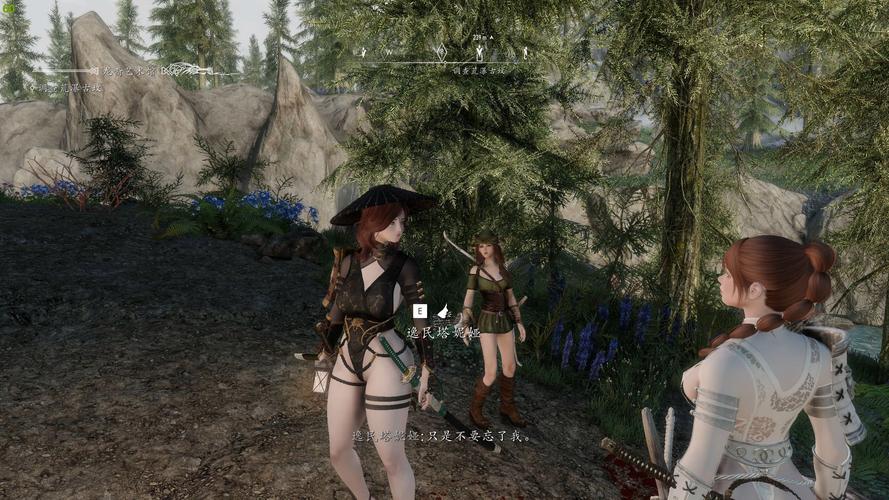 史上最全上古卷轴5随从MOD：从此不再孤单一人