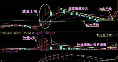 想看股市之狼?这里有全版本资源和详细介绍!