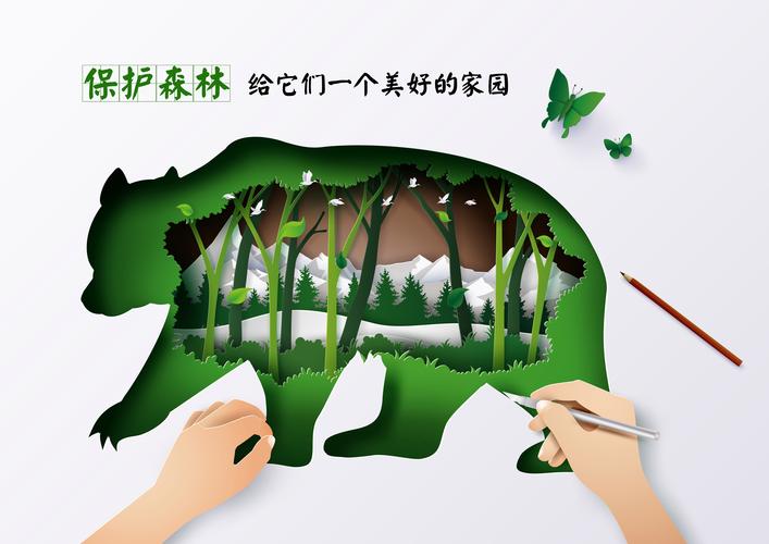 森林之友怎么保护？这些方法简单又实用！