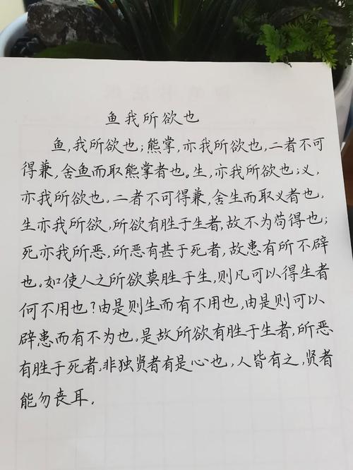 别贪心！鱼与熊掌不可兼得，理财时要注意这点！