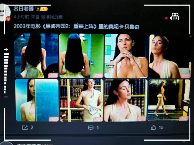 哪里可以下载时尚女王莫妮卡第3季？看完结篇！