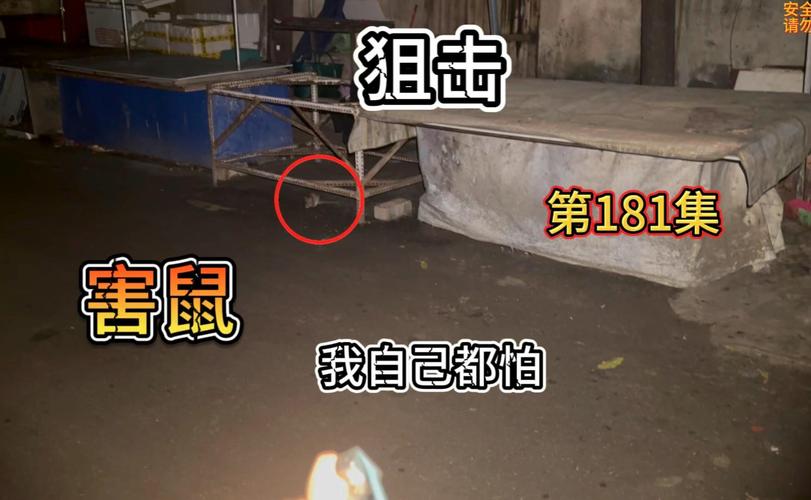 夜袭村禁忌实录：深度游戏评测，带你了解游戏玩法和剧情