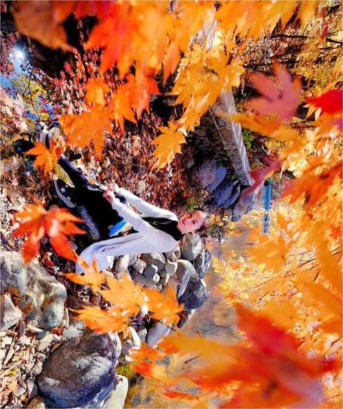 枫之恋下载地址更新,最新版点这里!