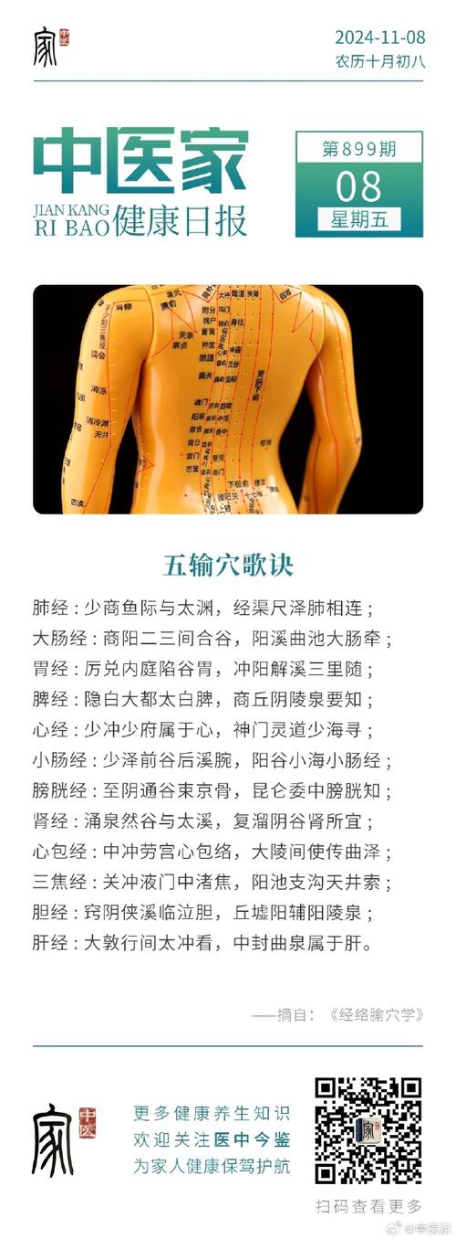 九阴真经锦衣卫经脉怎么选?新手一看就会的攻略!