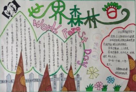 森林之友怎么保护？这些方法简单又实用！