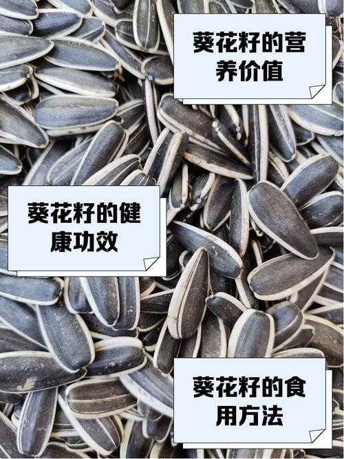 葵花籽是向日葵的啥？看完你就明白啦！