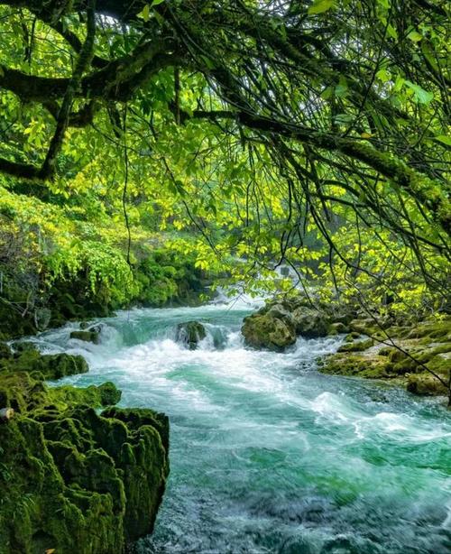 雾临村有什么?这些隐藏的宝藏景点别错过!