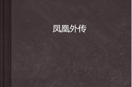 找凤凰V11外传Wet下载?这篇文章帮你解决!