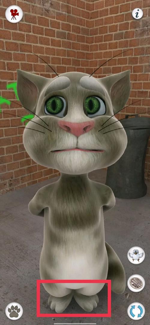 会说话的汤姆猫3游戏攻略，你想知道的都在这！