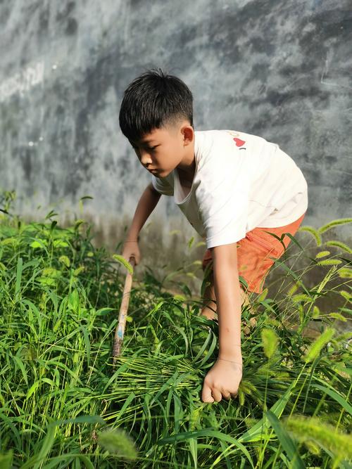 乡村暑假玩什么？这些游戏让弟弟乐不思蜀！