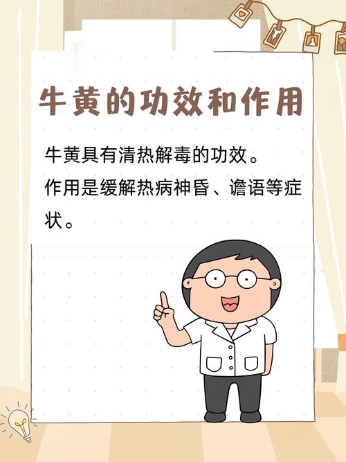 炎黄中文怎么样?老用户告诉你它的优缺点!