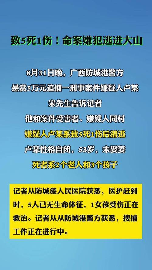 全面通缉官网在哪？火速围观官方最新动态！