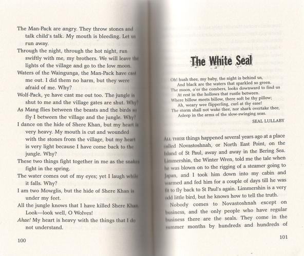 冒险金银岛怎么玩？老玩家分享高分通关秘籍！