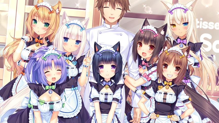 海豹社30部合集绅士游戏盘点,哪一款是你的菜?