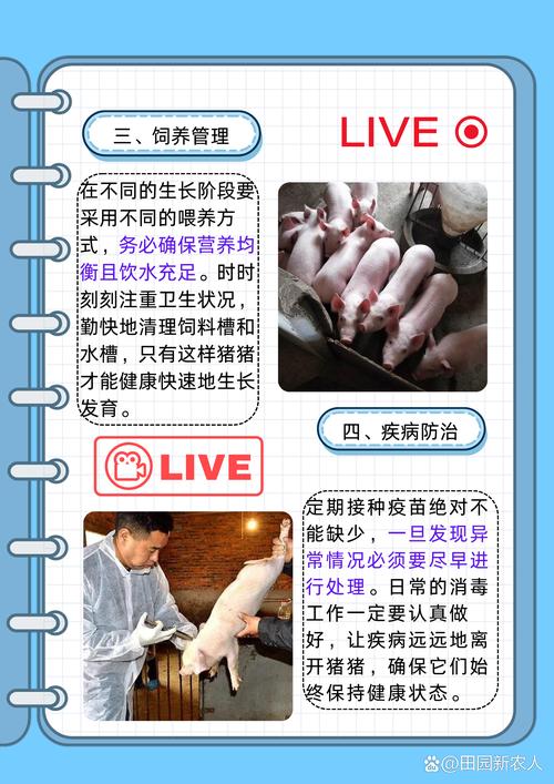 大猪网靠谱吗？看看老养猪户怎么评价就知道！