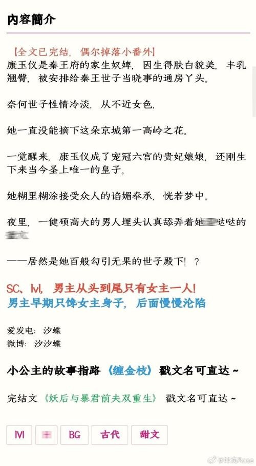 po18自由的小说阅读器入口打不开?试试这些解决方法!