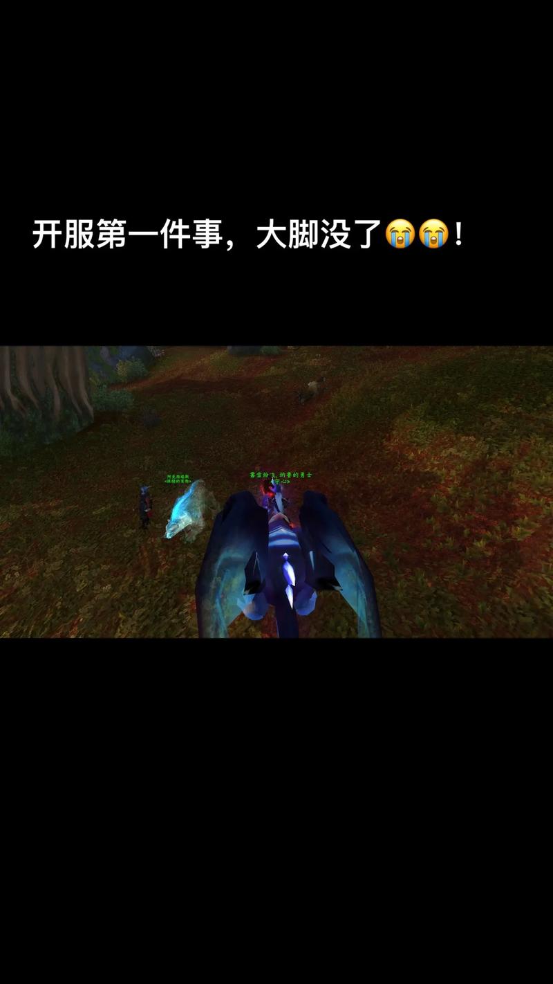 魔兽大脚官网更新了啥？新功能抢先体验！