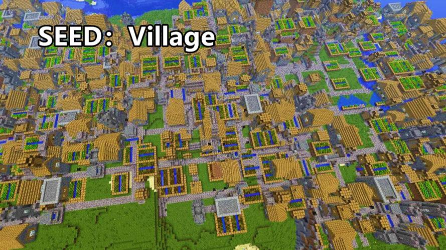 我的世界村庄位置：地图、指令、河流寻村攻略