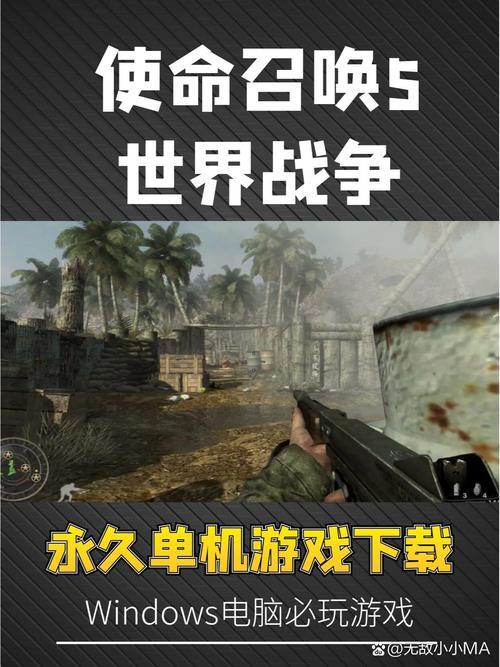 解决使命召唤5玩不了的难题，电脑配置和网络问题排查！