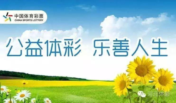 神之恩惠:彩票网站背后的神秘力量