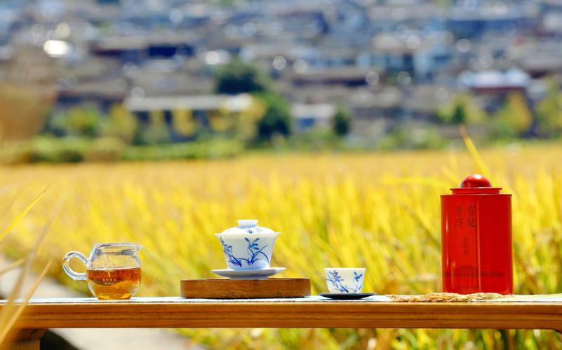 热播剧蜜糖村：带你感受不一样的田园生活