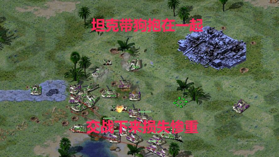 红警2狗蛋从军记:最新剧情更新,狗蛋的战场冒险!