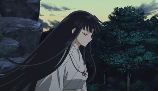 大和抚子版本大全:不同版本对比,带你发现更多精彩