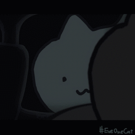 Eveonecat表情包火了!超萌猫咪表情包下载大全