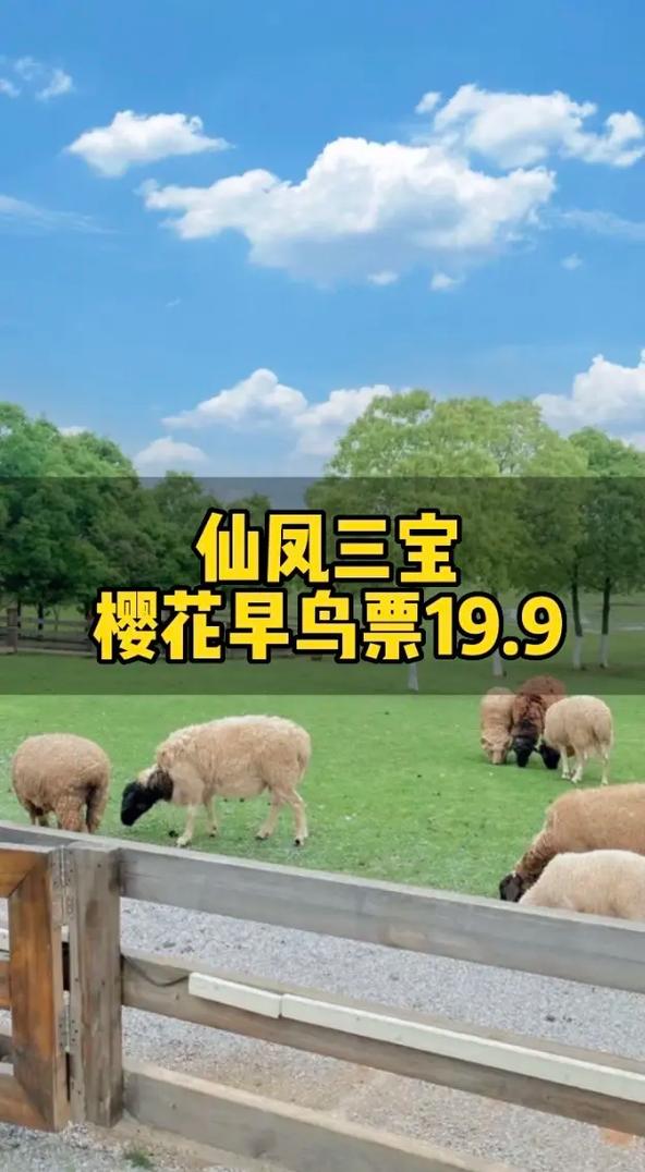 仙凤驯兽师游戏下载安装教程,轻松上手