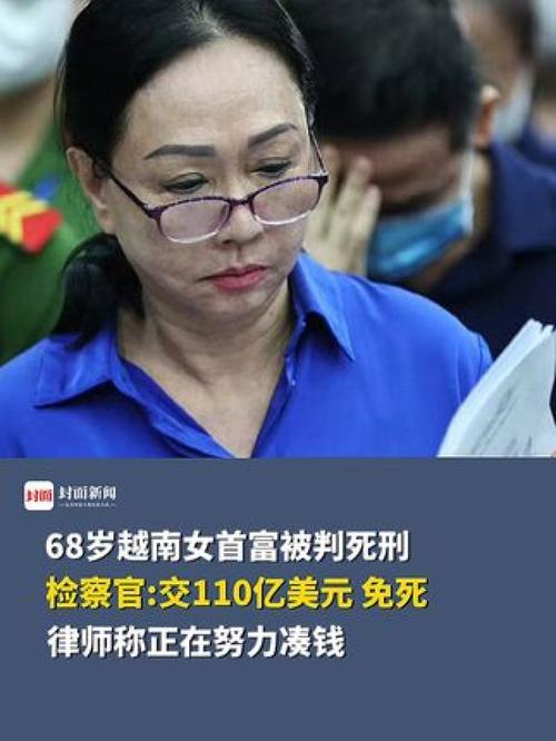 越南房地产大亨被判刑：贪婪的代价有多大