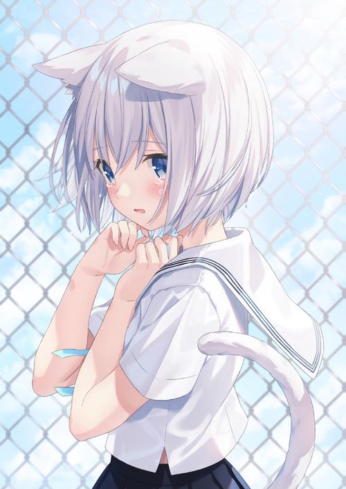 害羞女孩的改造下载地址大全:安全可靠的资源推荐