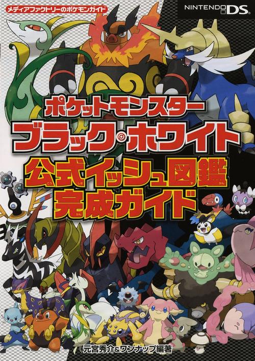 口袋妖怪黑2完整版下载：精灵对战等你来