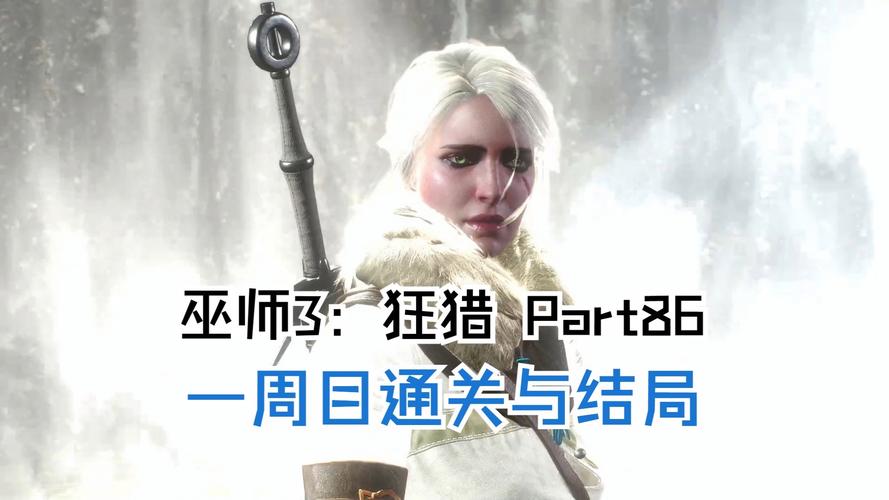 女巫3:回归最新版本BUG修复及优化详解,畅玩无忧