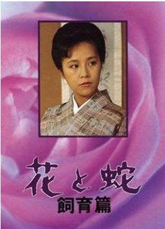 莽荒纪520在线观看：高清资源免费分享