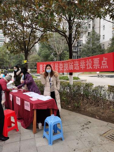 模拟社区活动：参与真实的模拟社区选举