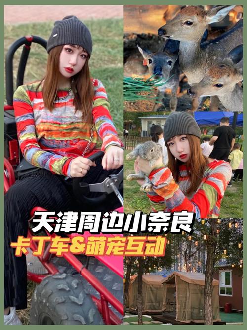 我为情狂最新版本下载：体验精彩互动影游！