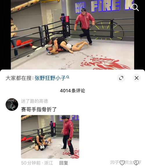 体育比赛中的猛击：规则、判罚及安全问题