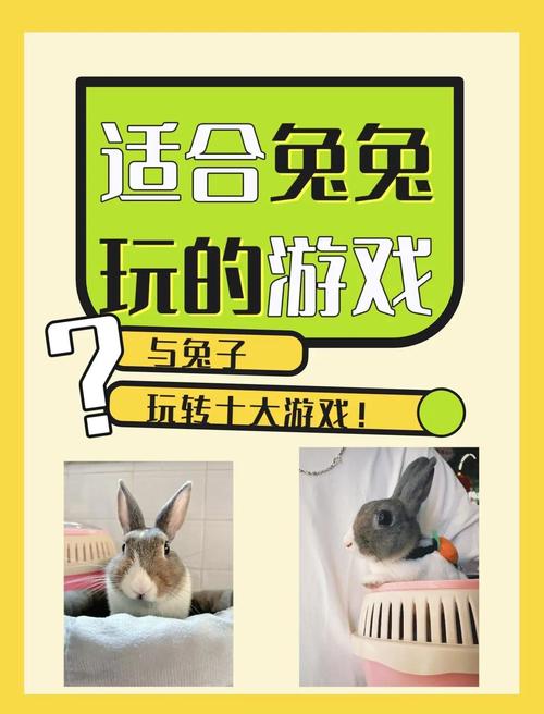 兔兔秘密花园杨过游戏体验：超好玩！你玩了吗？