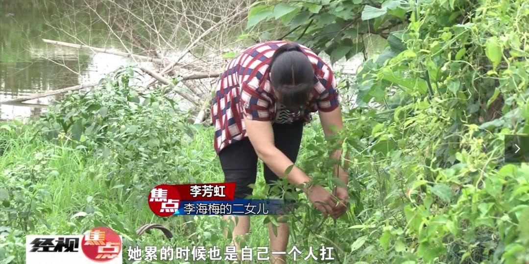 孝顺的妻子在哪下载？免费观看完整版！