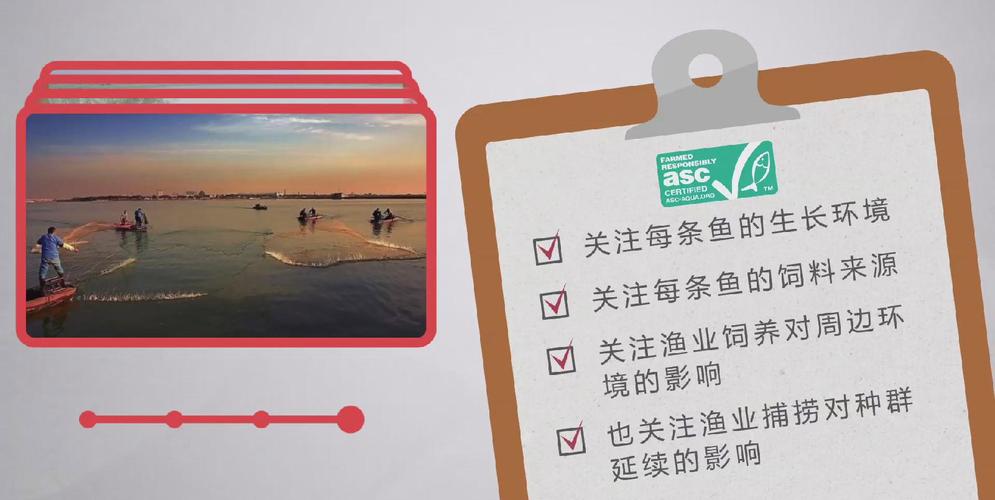 高等社会游戏攻略:角色互动指南及最佳选择方案